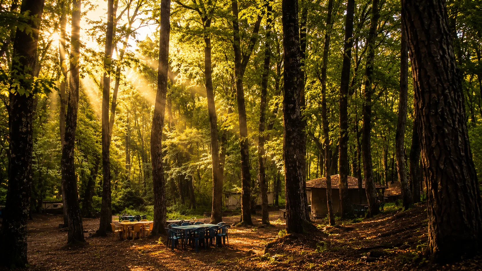 غابات فرنلق