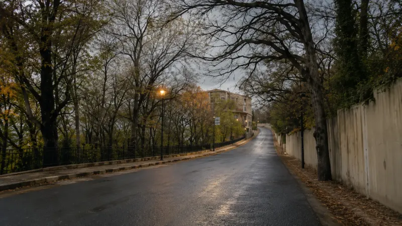 صلنفة
